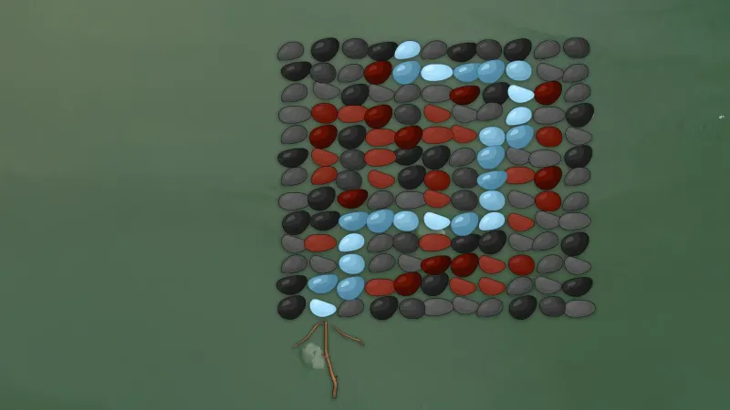 kinsey_map.webp kinsey_map.webp